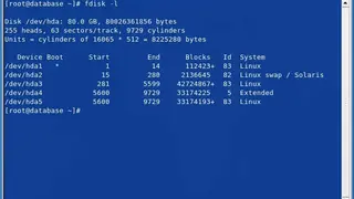 GNU fdisk screenshot