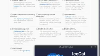 GNU IceCat screenshot