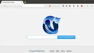 GNU IceCat screenshot