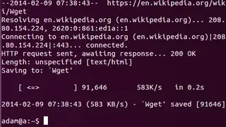 GNU Wget screenshot