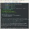 Gnus