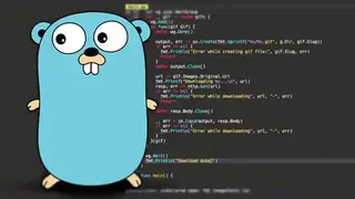 Go (Programming Language) screenshot