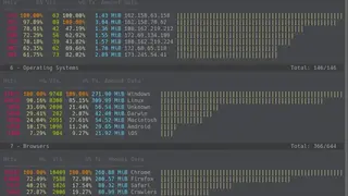 GoAccess screenshot