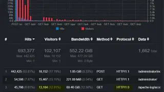 GoAccess screenshot