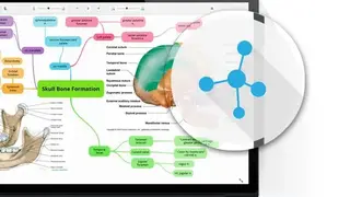 GoConqr Mind Map screenshot
