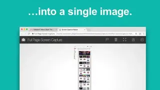 GoFullPage screenshot