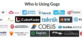 Gogs screenshot