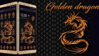 Gold Dragon Icon Pack screenshot