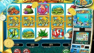Gold Fish Casino Slots: Free! screenshot