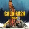Gold Rush: The Game for PS4 (Playstation 4)