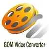 GOM Video Converter
