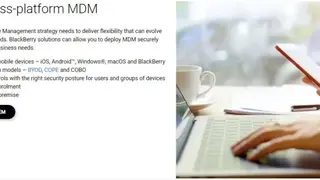 Good MDM screenshot