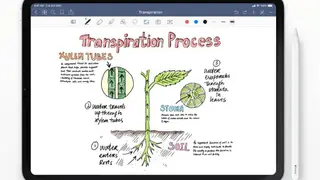 GoodNotes screenshot