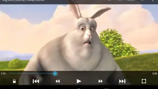 Goodplayer screenshot