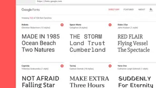 Google Fonts screenshot