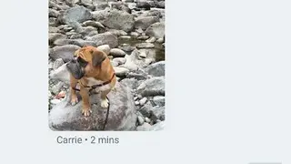 Google Hangouts Chrome Extension screenshot