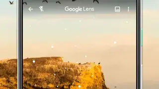 Google Lens screenshot