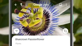 Google Lens screenshot