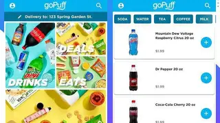 GoPuff screenshot