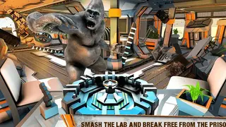Gorilla Smash City Big Foot Monster Rampage screenshot