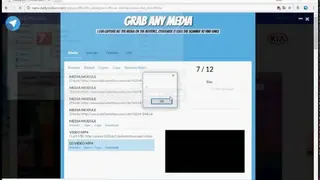 Grab Any Media screenshot