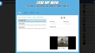 Grab Any Media screenshot