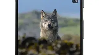 Grab It! RePost for Instagram (No Ads!) screenshot