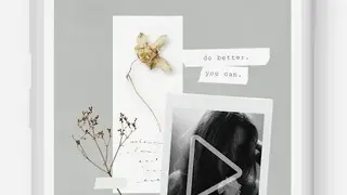 Graphionica Photo & Video Collages: sticker & text screenshot