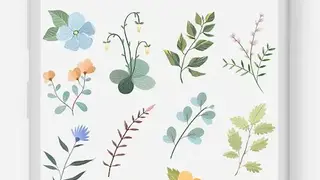 Graphionica Photo & Video Collages: sticker & text screenshot