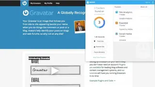 Gravatar screenshot