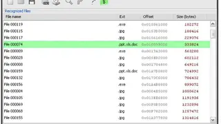 Greenfish DataMiner screenshot
