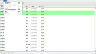 Greenfish DataMiner screenshot