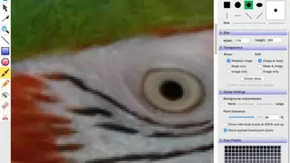 Growly Draw screenshot