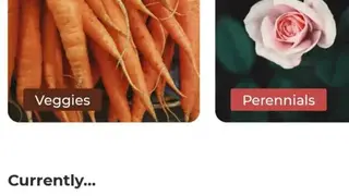 Groww screenshot
