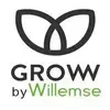 Groww