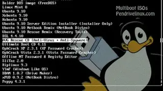 GRUB4DOS and WINGRUB screenshot