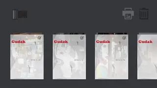Gudak Cam screenshot