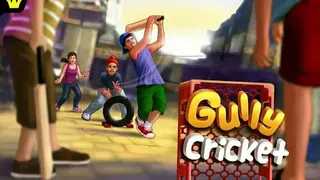 Gully Cricket Game – 2020 screenshot