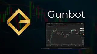 Gunbot screenshot
