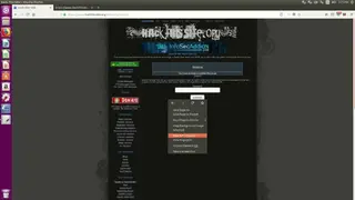 HackThisSite screenshot