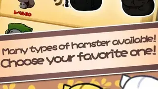 Hamster Life screenshot