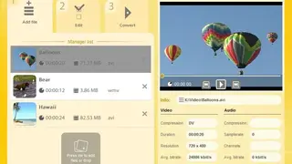 Hamster Video Converter screenshot