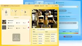 Hamster Video Converter screenshot