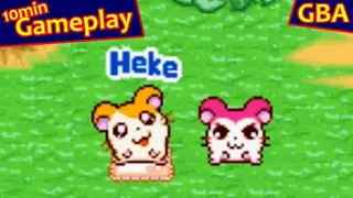 Hamtaro: Ham Ham Heartbreak screenshot