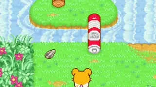 Hamtaro: Ham Ham Heartbreak screenshot