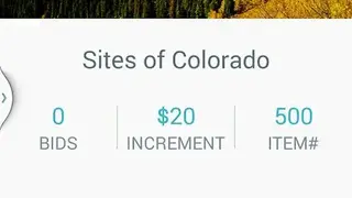 Handbid screenshot