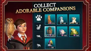 Harry Potter: Hogwarts Mystery screenshot