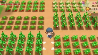 Harvest Moon screenshot