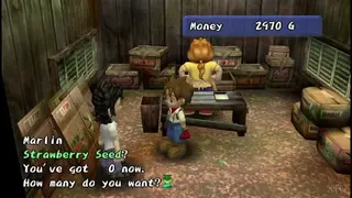 Harvest Moon: A Wonderful Life screenshot