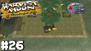 Harvest Moon: A Wonderful Life screenshot